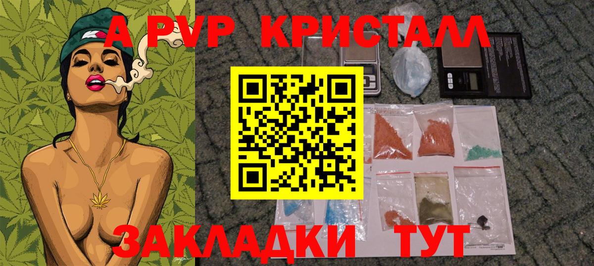 A PVP СК КРИС Обнинск