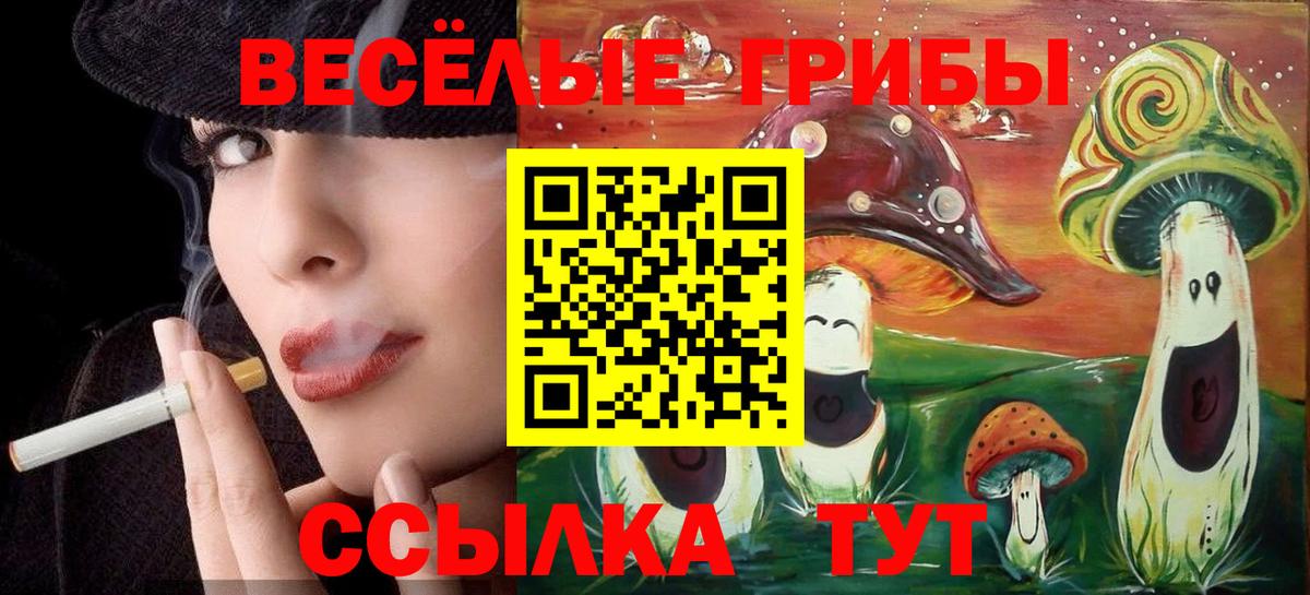 Обнинск  Псилоцибиновые грибы GOLDEN TEACHER  Вход с VPN 
